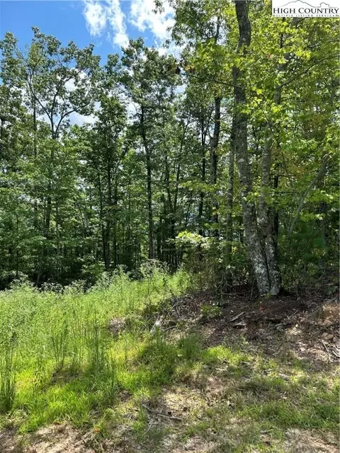 6 Reynolds Pkwy, Ferguson, NC 28624
