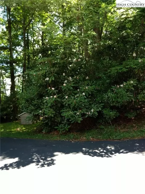1169 Old Hampton Rd, Boone, NC 28607 photo 49