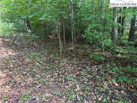 lot231 Deer Run Rd, Purlear, NC 28665 photo 12