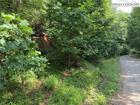 lot231 Deer Run Rd, Purlear, NC 28665 photo 7