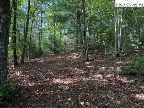 lot231 Deer Run Rd, Purlear, NC 28665 photo 2