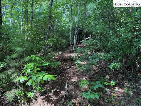 lot231 Deer Run Rd, Purlear, NC 28665 photo 10