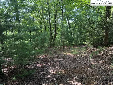 lot231 Deer Run Rd, Purlear, NC 28665 photo 15