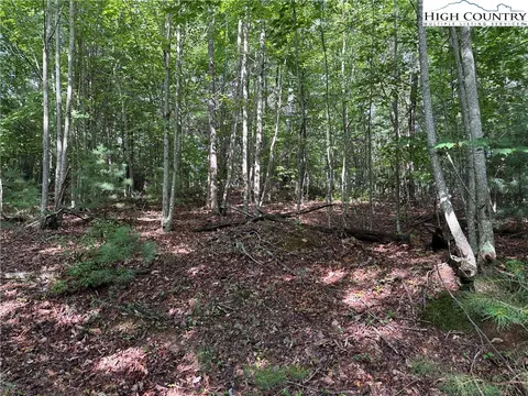 lot231 Deer Run Rd, Purlear, NC 28665 photo 14