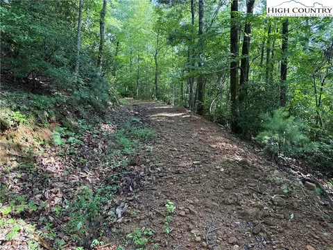lot231 Deer Run Rd, Purlear, NC 28665 photo 9