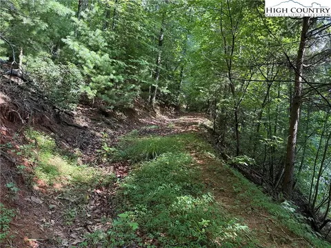 lot231 Deer Run Rd, Purlear, NC 28665 photo 8