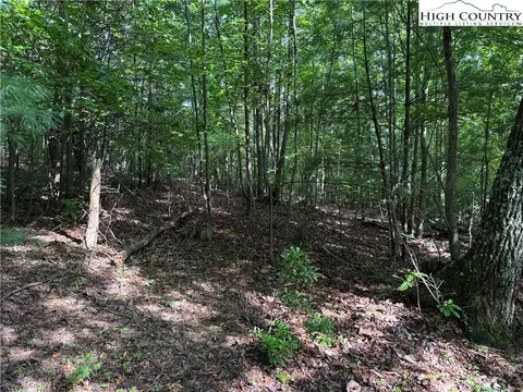 lot231 Deer Run Rd, Purlear, NC 28665 photo 16