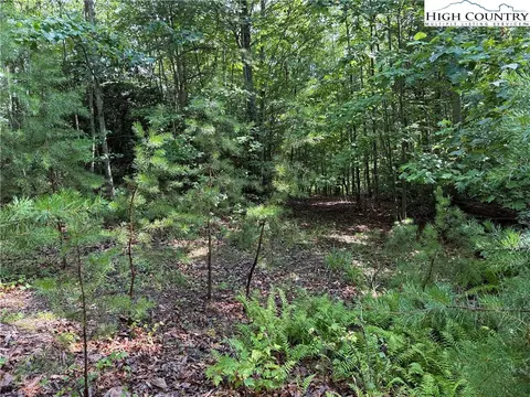 lot231 Deer Run Rd, Purlear, NC 28665 photo 11