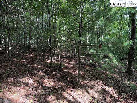 lot231 Deer Run Rd, Purlear, NC 28665 photo 13