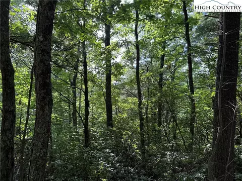 lot231 Deer Run Rd, Purlear, NC 28665 photo 17