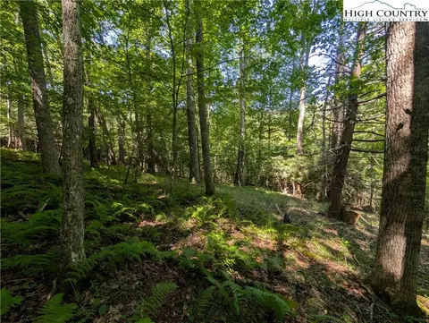 tbd Sharon Sweeney Rd, Crumpler, NC 28617