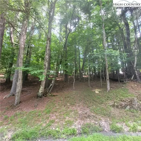 102 Oak Rd, Beech Mountain, NC 28604 photo 7