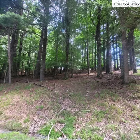 102 Oak Rd, Beech Mountain, NC 28604 photo 8