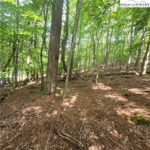 102 Oak Rd, Beech Mountain, NC 28604 photo 5