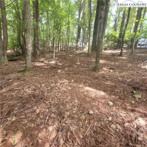 102 Oak Rd, Beech Mountain, NC 28604 photo 4