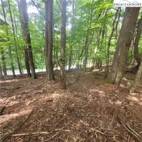 102 Oak Rd, Beech Mountain, NC 28604 photo 2