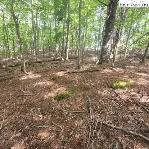102 Oak Rd, Beech Mountain, NC 28604