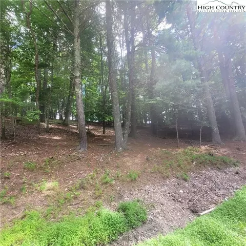 102 Oak Rd, Beech Mountain, NC 28604 photo 6