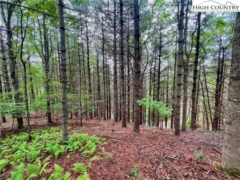 tbd Daniel Pierce Rd, West Jefferson, NC 28694