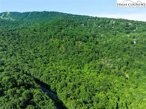 303 Locust Ridge Rd, Beech Mountain, NC 28604 photo 9