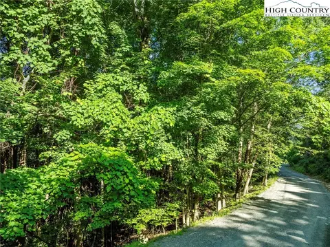 303 Locust Ridge Rd, Beech Mountain, NC 28604 photo 4