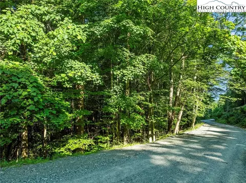 303 Locust Ridge Rd, Beech Mountain, NC 28604 photo 2