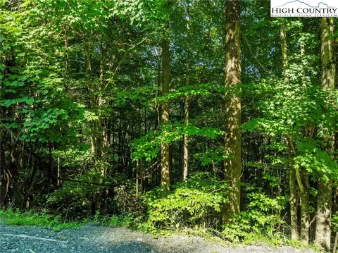 303 Locust Ridge Rd, Beech Mountain, NC 28604 photo 5