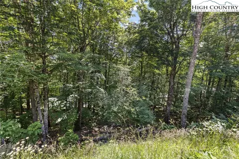 106 Northridge Ln, Beech Mountain, NC 28604 photo 2