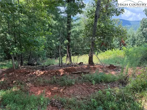 tbd Lazy Bear Ln, Purlear, NC 28665 photo 26