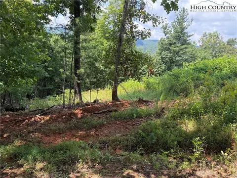 tbd Lazy Bear Ln, Purlear, NC 28665 photo 25