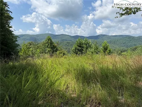 tbd Lazy Bear Ln, Purlear, NC 28665 photo 21