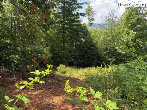 tbd Lazy Bear Ln, Purlear, NC 28665 photo 24