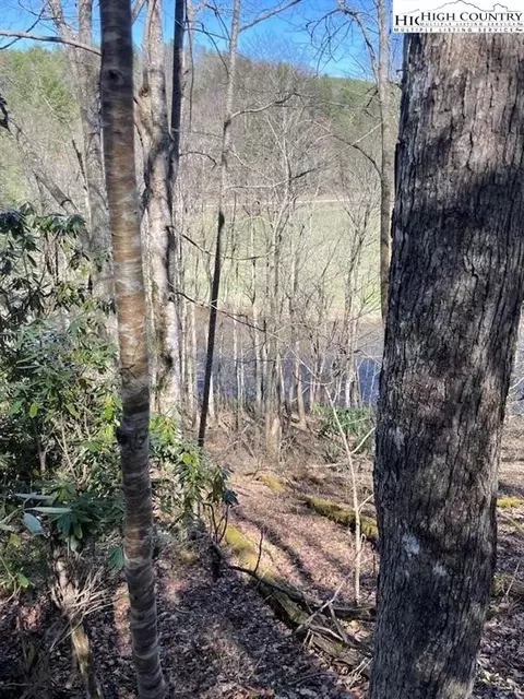tbd Spruce Ln, Crumpler, NC 28617