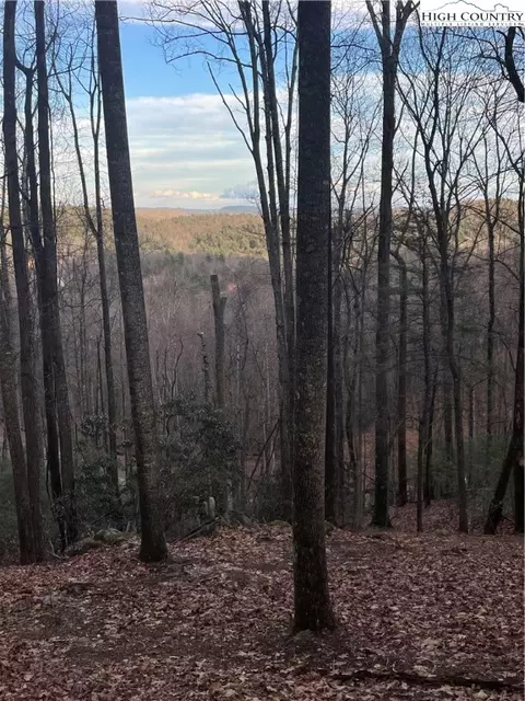 48 Wildcat Wilderness Pkwy, Deep Gap, NC 28618 photo 6