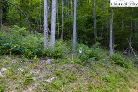 48 Wildcat Wilderness Pkwy, Deep Gap, NC 28618 photo 16
