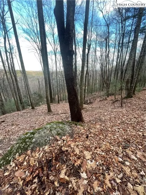 48 Wildcat Wilderness Pkwy, Deep Gap, NC 28618 photo 7