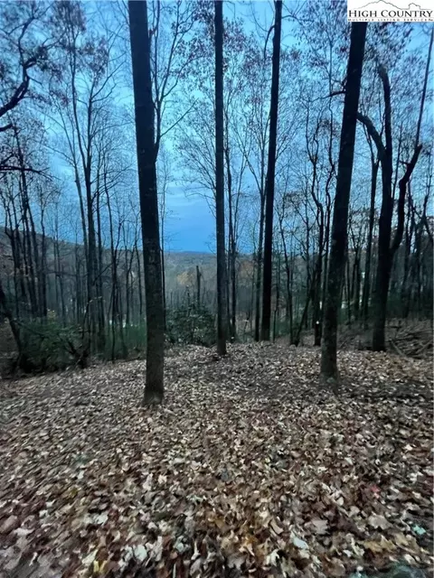 48 Wildcat Wilderness Pkwy, Deep Gap, NC 28618 photo 9