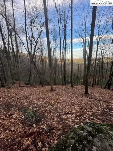 48 Wildcat Wilderness Pkwy, Deep Gap, NC 28618 photo 4