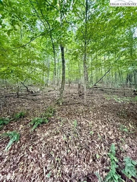 tbd Winter St, Jefferson, NC 28640 photo 7