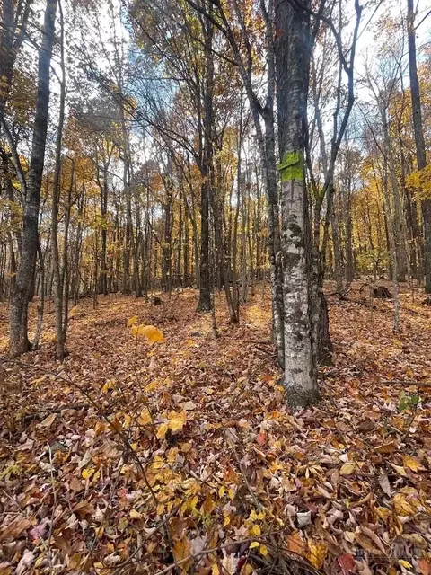 tbd Winter St, Jefferson, NC 28640 photo 18