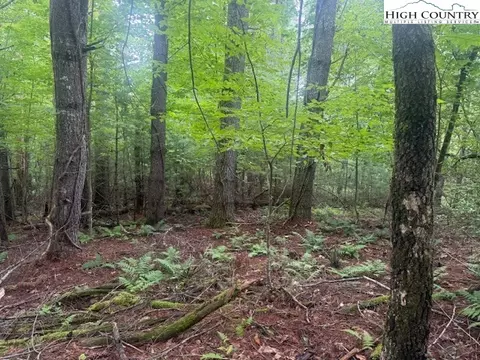 tbd Beaver Creek Dr, West Jefferson, NC 28694