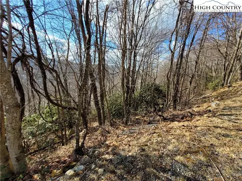 904 Pinnacle Ridge Rd, Beech Mountain, NC 28604 photo 4