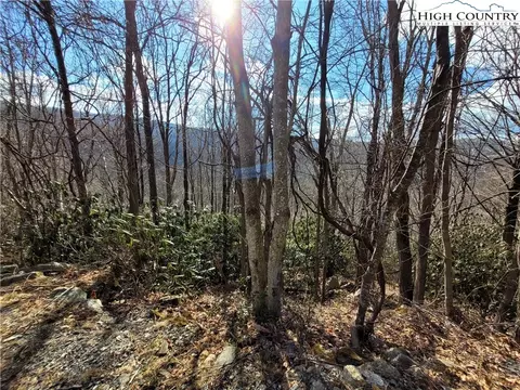 904 Pinnacle Ridge Rd, Beech Mountain, NC 28604 photo 3