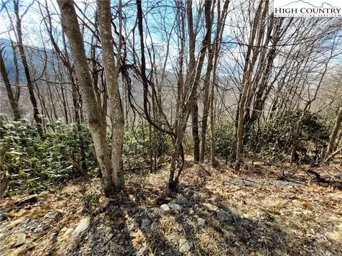 904 Pinnacle Ridge Rd, Beech Mountain, NC 28604 photo 2