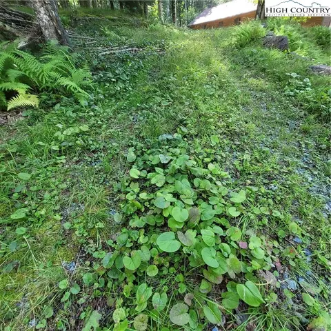 106 Woodridge Rd, Beech Mountain, NC 28604