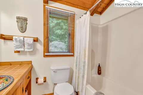 Bath - 168 Leigh Cir, Boone, NC 28607 photo 4 of 5