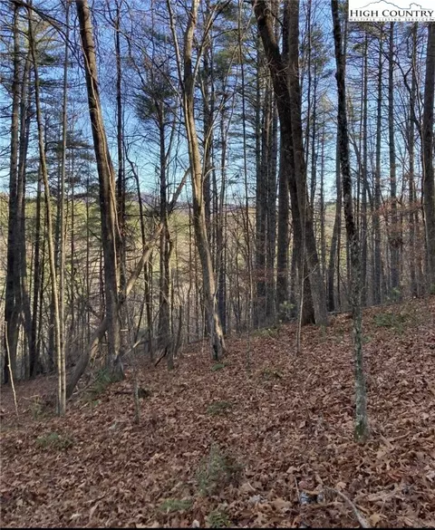 lot S 1 2 Toe River Ln, Newland, NC 28657