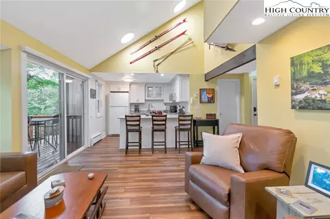 Other - 101 Ladybug Ln #8A, Beech Mountain, NC 28604 photo 4 of 13