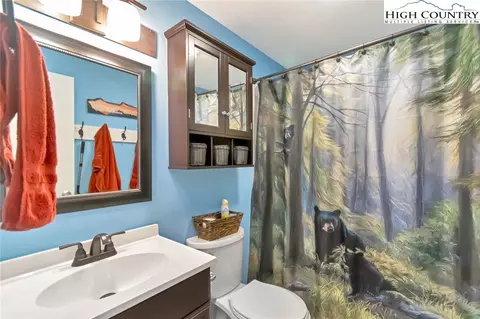 Bath - 101 Ladybug Ln #8A, Beech Mountain, NC 28604 photo 2 of 2