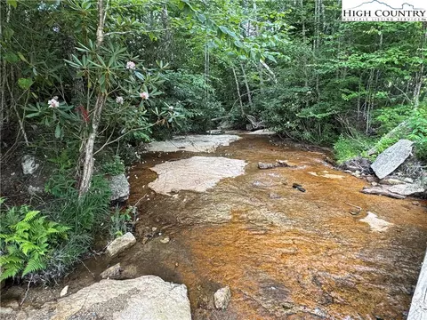 tbd Buckeye Ridge Roadbeech Mountain Pkwy, Beech Mountain, NC 28604 photo 21